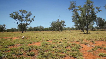 Undermined - Tales from the Kimberley (2018) download