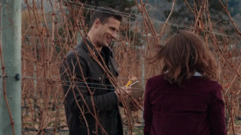 Valentine in the Vineyard (2019) download