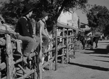 Wagon Master (1950) download