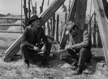 Westward the Women (1951) download