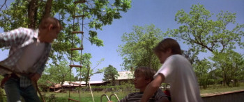 Wild America (1997) download