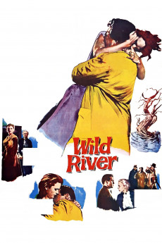 Wild River (1960) download